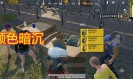 新军需吃鸡爆料最新,揭秘神秘装备，战力升级新篇章